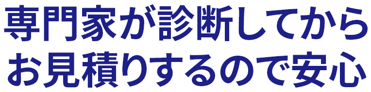 専門家が診断してからお見積りするので安心