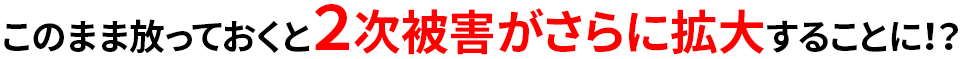 このまま放っておくと２次被害がさらに拡大することになる場合があります